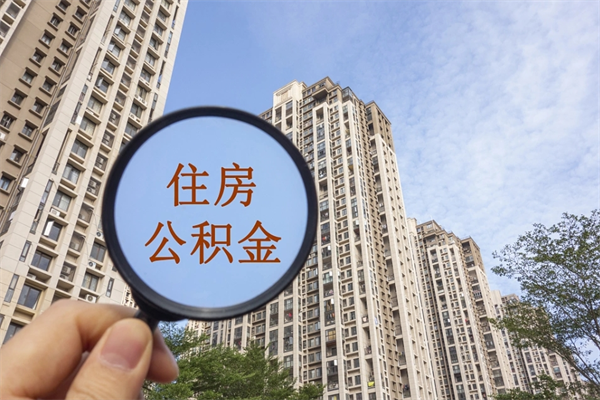 沂南济南公积金提取公司（沂南济南提取住房公积金）